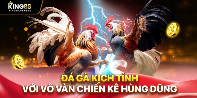 Đá gà kịch tính với vô vàn chiến kê hùng dũng